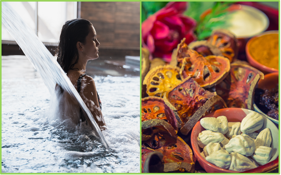 Ayurveda Article Babouraj