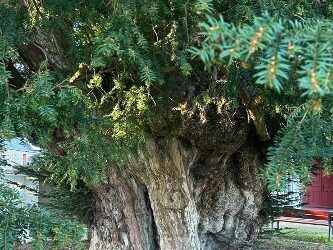 Et si la santé intégrative inspirait nos politiques publiques ?